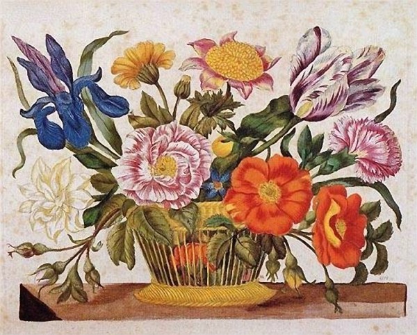 Merian_Blumenbuch